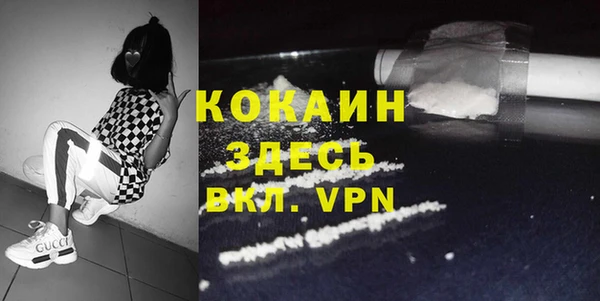 mdpv Ельня
