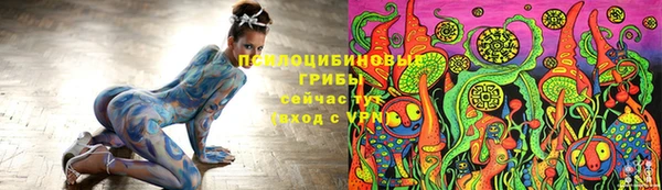 mdpv Ельня